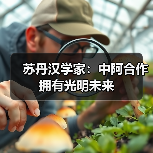 苏丹汉学家:中阿合作拥有光明未来(图1) 苏丹汉学家:中阿合作拥有光明未来(图1)