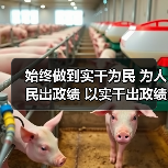 始终做到实干为民 为人民出政绩 以实干出政绩(图2)