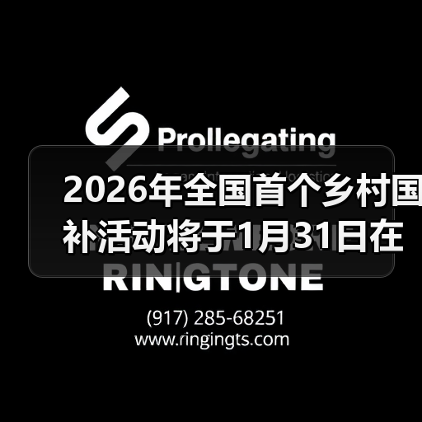 2026年全国首个乡村国补活动将于1月31日在济南启动(图4) 2026年全国首个乡村国补活动将于1月31日在济南启动(图3)