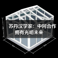 苏丹汉学家:中阿合作拥有光明未来(图4) 苏丹汉学家:中阿合作拥有光明未来(图4)