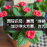 国际识局:美国“推销”加沙停火方案,各方反应耐人寻味(图4) 国际识局:美国“推销”加沙停火方案,各方反应耐人寻味(图4)