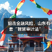 狙击金融风险，山东有套“智慧审计法”(图2)