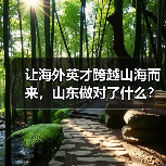 让海外英才跨越山海而来,山东做对了什么?(图3) 让海外英才跨越山海而来,山东做对了什么?(图3)