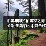 中国与阿拉伯国家之间关系持续深化 中阿合作不断拓展、阔步前行(图4) 中国与阿拉伯国家之间关系持续深化 中阿合作不断拓展、阔步前行(图1)