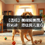 【透视】美媒揭美国人权劣迹：原住民儿童在寄宿学校长期遭性虐待(图2)