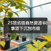 25项省级自然资源审批事项下沉到市级(图3)