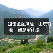 狙击金融风险，山东有套“智慧审计法”(图3)