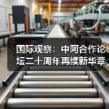国际观察：中阿合作论坛二十周年再续新华章(图2)
