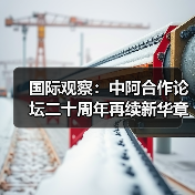 国际观察：中阿合作论坛二十周年再续新华章(图4)
