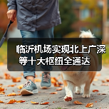 临沂机场实现北上广深等十大枢纽全通达(图3)