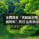 全国首条“天鹅旅游专线列车”开行 山东荣成发出冬日邀约(图3) 全国首条“天鹅旅游专线列车”开行 山东荣成发出冬日邀约(图3)