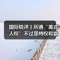 国际锐评丨所谓“美式人权”不过是特权和霸