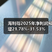 海利得2025年净利润预增21.78%-31.53%(图4)