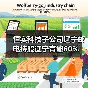 恒实科技子公司辽宁邮电持股辽宁育能60%(图1)