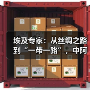 埃及专家:从丝绸之路到“一带一路”,中阿合作具有全球意义(图2) 埃及专家:从丝绸之路到“一带一路”,中阿合作具有全球意义(图2)
