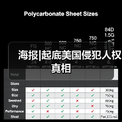 海报|起底美国侵犯人权真相(图2)