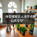 外交部发言人毛宁点赞山东交警！