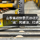 山东省政协委员孙晓芳：“诚”风破浪，打造山东诚信经济超级IP(图2)