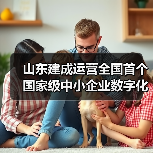 山东建成运营全国首个国家级中小企业数字化转型促进中心(图4) 山东建成运营全国首个国家级中小企业数字化转型促进中心(图4)