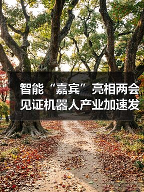 智能“嘉宾”亮相两会见证机器人产业加速发展(图3) 智能“嘉宾”亮相两会见证机器人产业加速发展(图3)