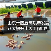 山东十四五高质量发展八大提升十大工程目标(图3) 山东十四五高质量发展八大提升十大工程目标(图3)