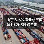 山东农林牧渔业总产值超1.3万亿领跑全国 - 新龙谷信息港
