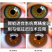 智能语音系统高精度识别与低延迟技术应用