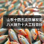 山东十四五高质量发展八大提升十大工程目标(图2) 山东十四五高质量发展八大提升十大工程目标(图2)