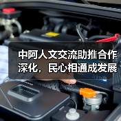 中阿人文交流助推合作深化，民心相通成发展基石 - 新龙谷信息港