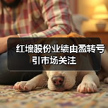 红墙股份业绩由盈转亏引市场关注(图1)
