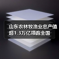 山东农林牧渔业总产值超1.3万亿领跑全国(图3) 山东农林牧渔业总产值超1.3万亿领跑全国(图3)