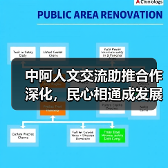 中阿人文交流助推合作深化,民心相通成发展基石(图4) 中阿人文交流助推合作深化,民心相通成发展基石(图4)