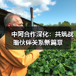 中阿合作深化：共筑战略伙伴关系新篇章 - 新龙谷信息港