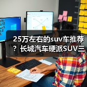 25万左右的suv车推荐?长城汽车硬派SUV三强对比(图2) 25万左右的suv车推荐?长城汽车硬派SUV三强对比(图2)
