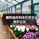 美联储高利率引发全球货币动荡 - 新龙谷信息港