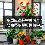 东盟应避开中美博弈?马哈蒂尔呼吁保持中立(图4) 东盟应避开中美博弈?马哈蒂尔呼吁保持中立(图4)