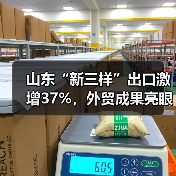 山东“新三样”出口激增37%，外贸成果亮眼(图2)