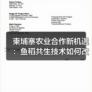 柬埔寨农业合作新机遇:鱼稻共生技术如何改变产业(图4) 柬埔寨农业合作新机遇:鱼稻共生技术如何改变产业(图4)