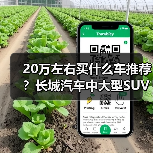 20万左右买什么车推荐？长城汽车中大型S