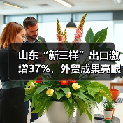 山东“新三样”出口激增37%，外贸成果亮眼(图4)