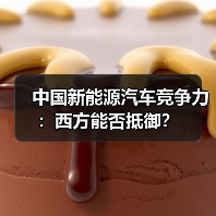 中国新能源汽车竞争力：西方能否抵御？