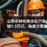 山东农林牧渔业总产值破1.3万亿,稳居全国首位(图1) 山东农林牧渔业总产值破1.3万亿,稳居全国首位(图1)