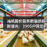 鸿铭股份股东数最新数据曝光：3905户背后的市场影响(图3)