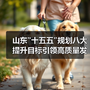 山东 山东十五五规划八大提升目标引领高质量发展(图4)