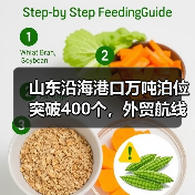 山东沿海港口万吨泊位突破400个,外贸航线新增20条(图3) 山东沿海港口万吨泊位突破400个,外贸航线新增20条(图3)