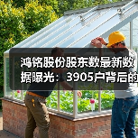 鸿铭股份股东数最新数据曝光：3905户背后的市场影响(图4)