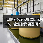 山东2.6万亿贷款明示成本,企业融资更透明?(图4) 山东2.6万亿贷款明示成本,企业融资更透明?(图4)