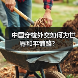 中国穿梭外交如何为世界和平铺路?(图4) 中国穿梭外交如何为世界和平铺路?(图4)
