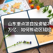 山东重点项目投资破2.8万亿,如何推动区域经济?(图3) 山东重点项目投资破2.8万亿,如何推动区域经济?(图3)