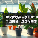 龙虎榜净买入额TOP10个股揭晓,这些标的为何受青睐?(图2) 龙虎榜净买入额TOP10个股揭晓,这些标的为何受青睐?(图2)